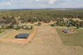 Property photo of 271 Pine Hill Road Narrandera NSW 2700