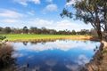 Property photo of 103 Gully Road Welshmans Reef VIC 3462