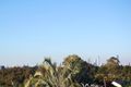 Property photo of 14 Macallan Street Merrimac QLD 4226