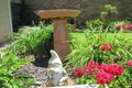 Property photo of 13 Anniversary Place Coffs Harbour NSW 2450