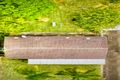 Property photo of 5 Chapman Avenue Penrith NSW 2750
