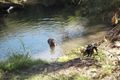 Property photo of 1050 Duri-Dungowan Road Timbumburi NSW 2340