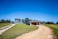 Property photo of 115 Rotary Avenue Naracoorte SA 5271