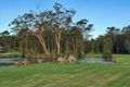 Property photo of 3 Lakewood Drive Medowie NSW 2318