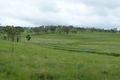 Property photo of 456 Booinbah Road Tansey QLD 4601