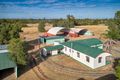 Property photo of 43 Mizpah Drive Chinchilla QLD 4413