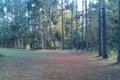 Property photo of 138 Euluma Creek Road Julatten QLD 4871
