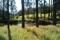 Property photo of 138 Euluma Creek Road Julatten QLD 4871