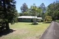 Property photo of 6 Payne Street Eumundi QLD 4562