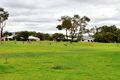 Property photo of 21/41 Burgundy Lane The Vines WA 6069