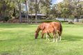 Property photo of 118 Country Road Gidgegannup WA 6083