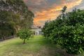 Property photo of 28 Crows Ash Lane Black Mountain QLD 4563