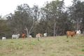 Property photo of 5483 Bruxner Highway Mummulgum NSW 2469