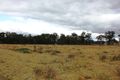 Property photo of 13022 Guyra Road Tingha NSW 2369