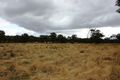 Property photo of 13022 Guyra Road Tingha NSW 2369