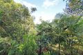 Property photo of 32 Nimbin Street The Channon NSW 2480