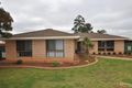 Property photo of 120 Birch Avenue Dubbo NSW 2830