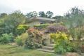 Property photo of 15 Bushbird Court Diddillibah QLD 4559