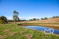 Property photo of 99 Pollock Avenue Bonnie Doon VIC 3720