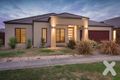 Property photo of 7 Honey Court Berwick VIC 3806