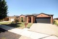 Property photo of 38 Buckingham Street Amaroo ACT 2914