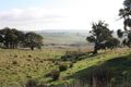Property photo of 33 Knights Track Springfield VIC 3434