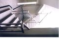 Property photo of 36 Wallis Avenue Strathfield NSW 2135
