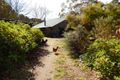 Property photo of 114 Taylor Road Tunkalilla SA 5203