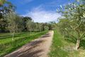 Property photo of 6 Boundary Road Dromana VIC 3936