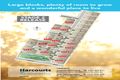 Property photo of LOT 9 Falland Avenue Nuriootpa SA 5355