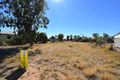 Property photo of 14 Ash Street Barcaldine QLD 4725