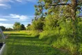 Property photo of 67 Brown Street Boggabilla NSW 2409