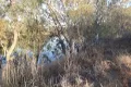 Property photo of 67 Brown Street Boggabilla NSW 2409
