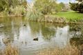 Property photo of 77 Spring Road Hampton East VIC 3188