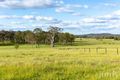 Property photo of 88 Quince Tree Lane Congewai NSW 2325