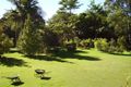 Property photo of 30 Pinelands Drive Beerwah QLD 4519