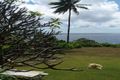 Property photo of 8 Coconut Grove Christmas Island WA 6798