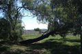 Property photo of 14 Calgaroo Avenue Muswellbrook NSW 2333