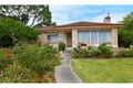 Property photo of 36 Caloroga Street Wattle Park SA 5066