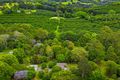 Property photo of 1030 Teven Road Tuckombil NSW 2477