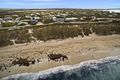Property photo of 39 Whipbird Way Marion Bay SA 5575