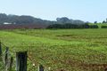 Property photo of 237 Tollymore Road Table Cape TAS 7325