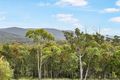 Property photo of 6 Suncoast Drive Bicheno TAS 7215