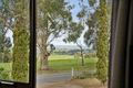 Property photo of 45 Paech Road Wistow SA 5251