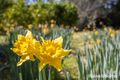 Property photo of 1010 Kangaroo Valley Road Bellawongarah NSW 2535