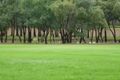Property photo of 12237 Carnarvon Highway St George QLD 4487