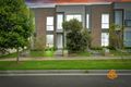 Property photo of 5 Focus Drive Coburg North VIC 3058