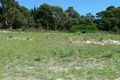 Property photo of 15 Ekers Court Mount Compass SA 5210