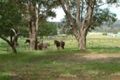 Property photo of 44 Port Road Herne Hill WA 6056