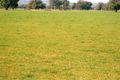 Property photo of 1281 Great Alpine Road Tarrawingee VIC 3678